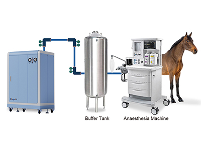 Veterinary Oxygen Concentrator